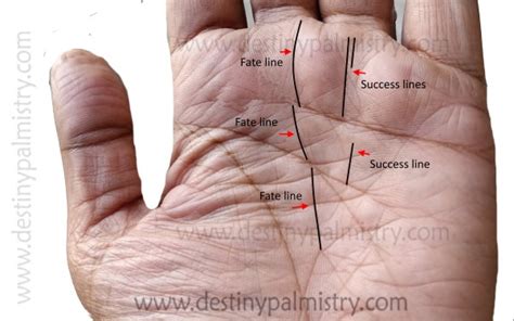 Lottery Win Signs and Marks on the Palm .